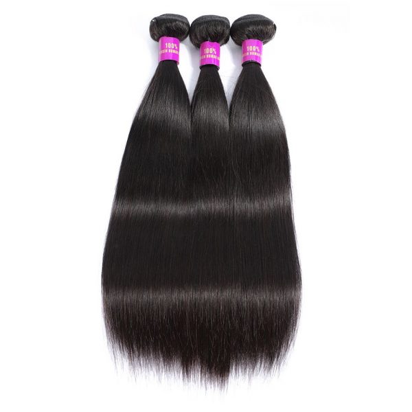 Tinashe Hair Brazilian Straight Human Hair 3 Bundles With Closure Mink ...