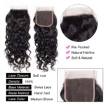 Tinashe hair water wave 5x5 lace closure