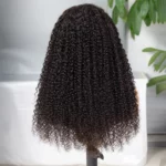 Tinashe hair curly wig (2)
