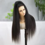 Tinashe hair kinky straight wig (3)