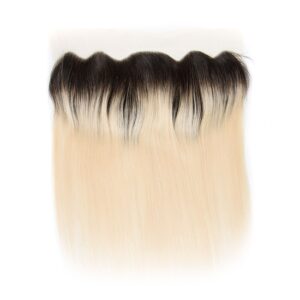 Tinashe hair ombre 1b 613 honey blonde straight hair frontal