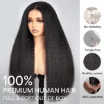 Tinashe hair kinky straight lace wig (1)
