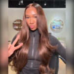 Tinashe hair brown body wave lace wig
