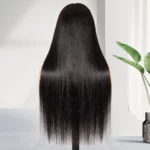 Tinashe hair straight HD lace wig (3)