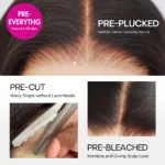 Tinashe hair HD lace wig details
