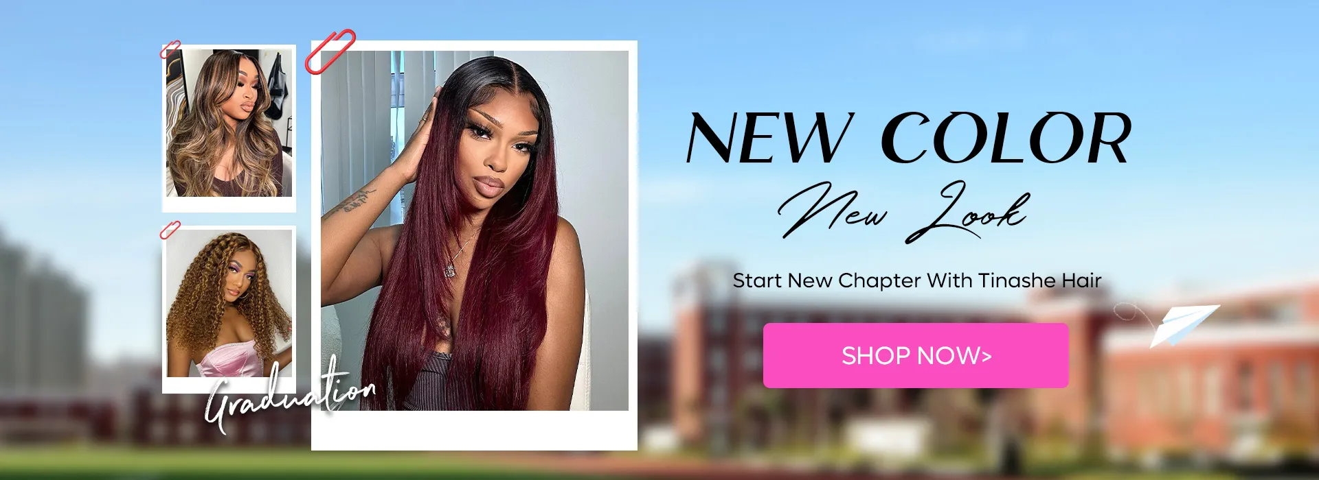 Tinashe hair Pre-everything full frontal wig