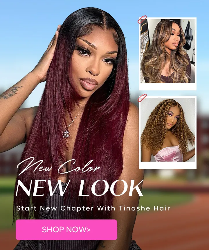 Tinashe hair Pre-everything full frontal wig