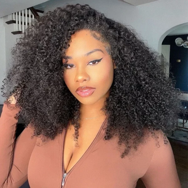 Tinashe hair kinky curly half wig