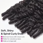 Tinashe hair burmese curly wig (1)