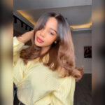 Tinashe hair ombre brown layered cut wig 2