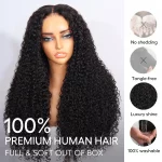 Tinashe hair curly wig (3)