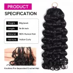 Tinashe hair Indian curly crochet hair