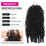 Tinashe hair burmese curly crochet hair