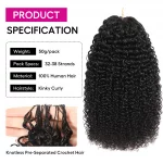 Tinashe hair crochet hair kinky curly (6)