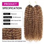 Tinashe hair highlight crochet hair (4)