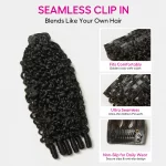 Tinashe hair burmese curly clip in (3)